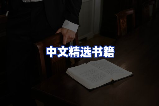 中文精选书籍